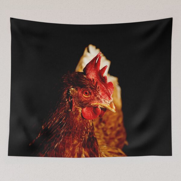 Item preview, Brown chicken portrait on a black background designed and sold by Michaelerch.