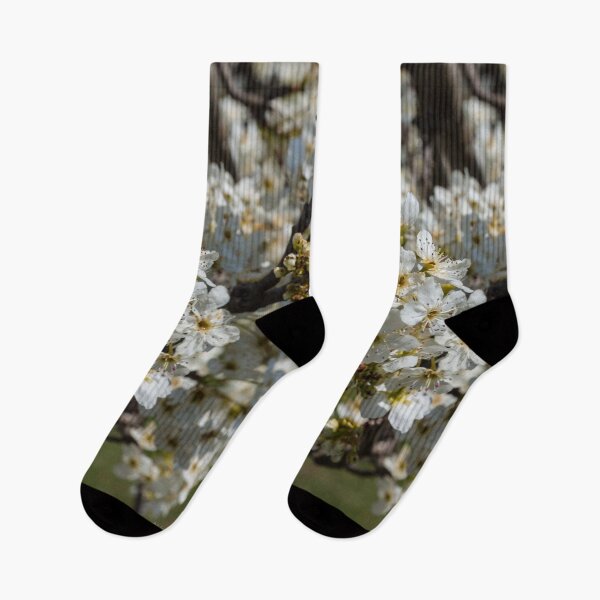 Artikelvorschau, Bradford Blooms entworfen und verkauft von mljdwhite.