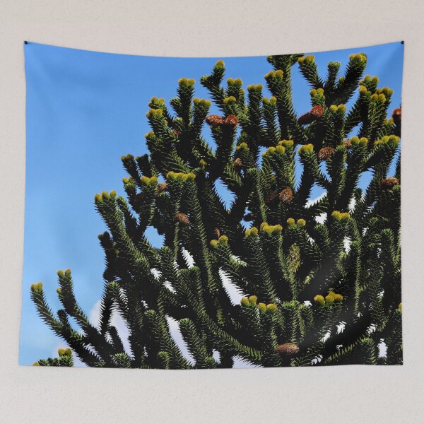 Item preview, Araucaria Araucana Tree on a clear blue sky designed and sold by Michaelerch.