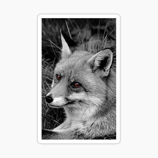Item preview, Reynard designed and sold by Ladymoose.