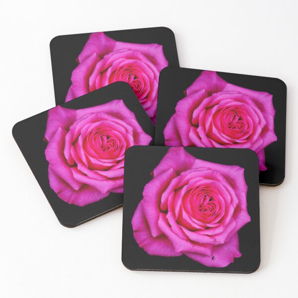Item preview, Pink rose flower head isolated on black background designed and sold by Michaelerch.