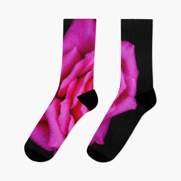 Item preview, Pink rose flower head isolated on black background designed and sold by Michaelerch.