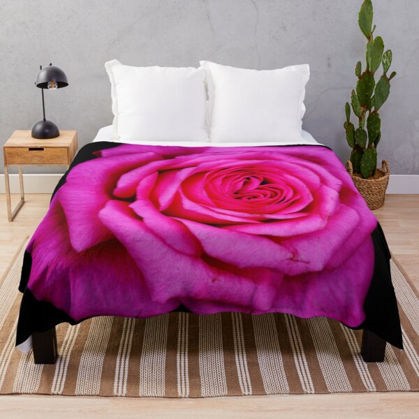 Item preview, Pink rose flower head isolated on black background designed and sold by Michaelerch.