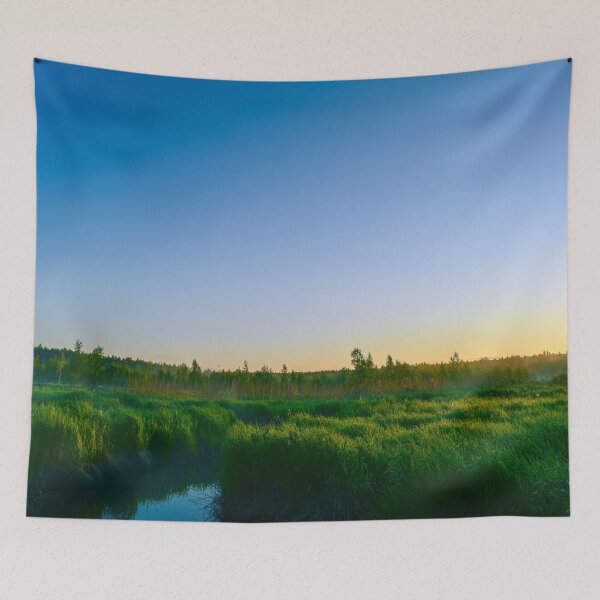 Item preview, Dawn sky over a green grassy marsh designed and sold by yarvin13.