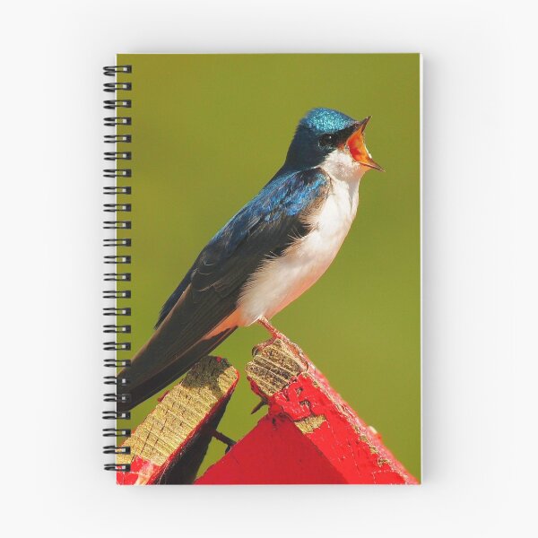 Item preview, TREE SWALLOW designed and sold by RoseMarie747.