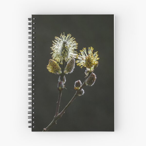 Item preview, Male Goat Willow designed and sold by MikeSquires.