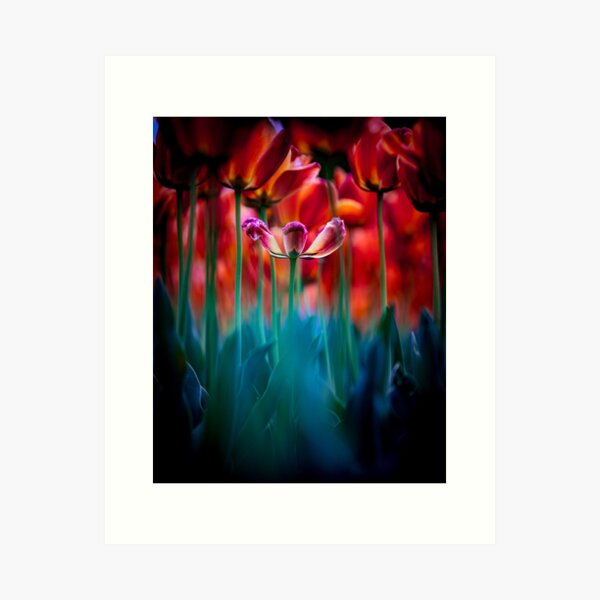 Princess and her bodyguards Art Print