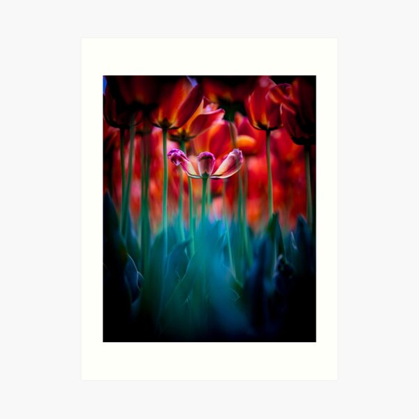 Princess and her bodyguards Art Print