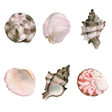Artwork thumbnail, Shell pattern mix by Rotfuchsillu
