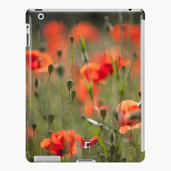 field of poppies iPad Snap Case