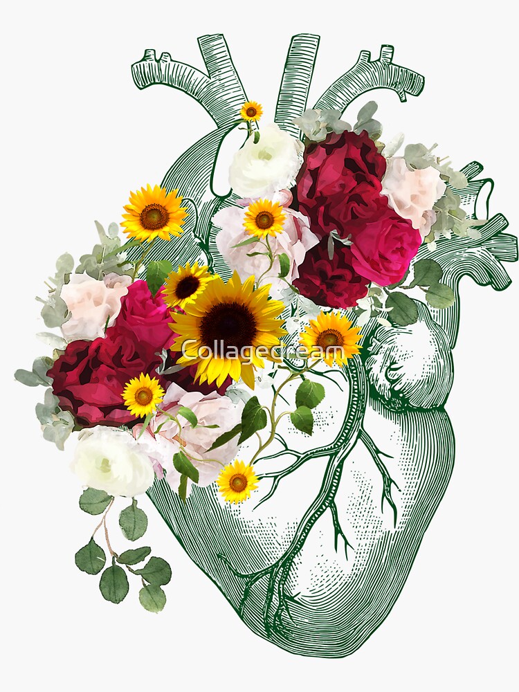 Human Heart Illustration Art Purple Roses And Sunflowers Plants Lovers Vintage Effect White 0467