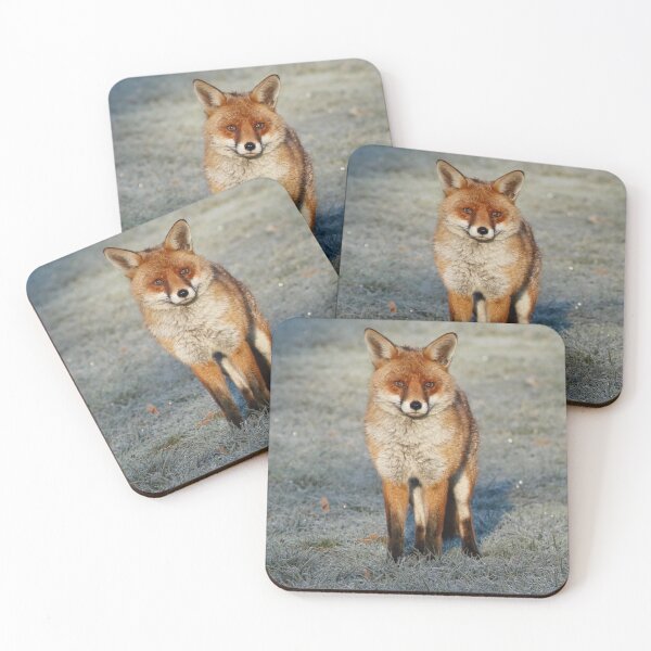 Item preview, Foxy!  designed and sold by jmwilesphotos.