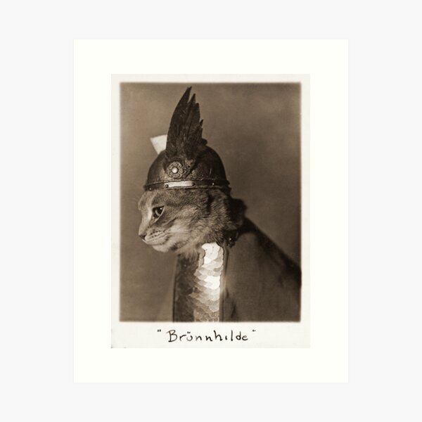 Item preview, 1936 Vintage Photo of Viking Cat "Brunnhilde" designed and sold by Gin  Neko.