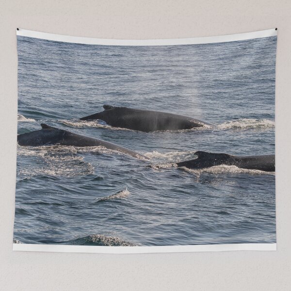 Item preview, Three whales in the ocean designed and sold by Photopat.