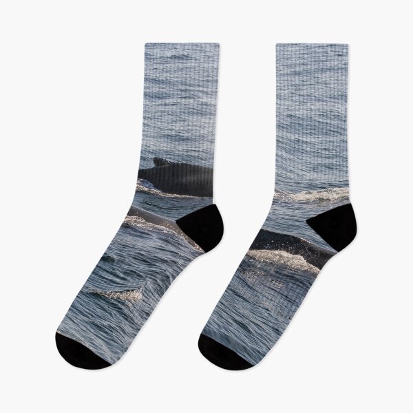 Item preview, Three whales in the ocean designed and sold by Photopat.