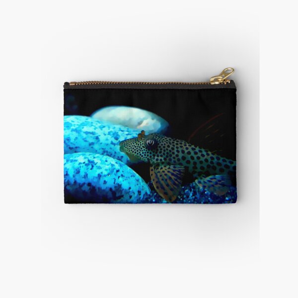 Item preview, Pleco Blue designed and sold by GFishy.