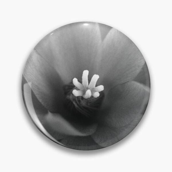 Item preview, Cactus Black and White designed and sold by Denise Larson.
