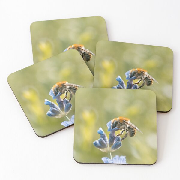 Item preview, Macro of leafcutter Bee on blue flower with green background designed and sold by macroviewpoint.