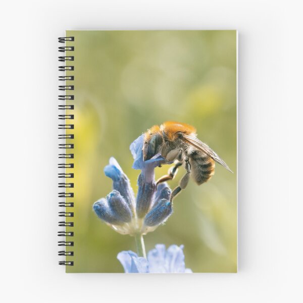 Item preview, Macro of leafcutter Bee on blue flower with green background designed and sold by macroviewpoint.