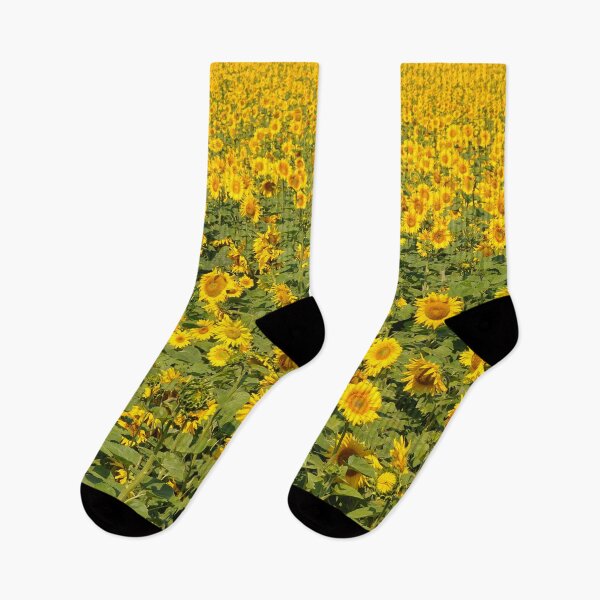 Item preview, Blooming Sunflower Field designed and sold by NinelRo.