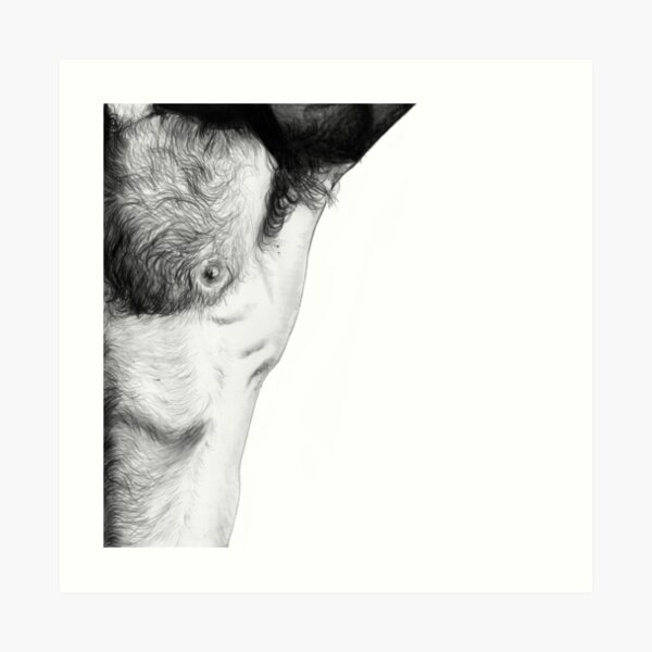 Ruffled Art Print