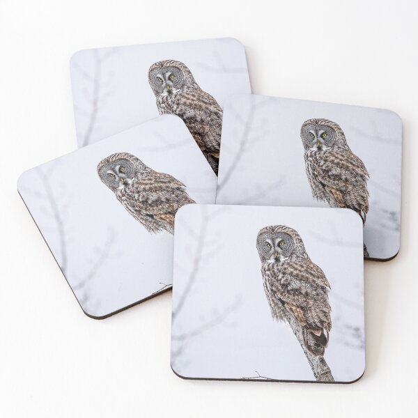 Item preview, Owl Portrait designed and sold by Vargulich.