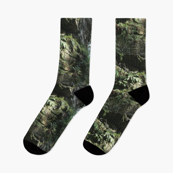 Item preview, Turkey Run - Light on the Ferns designed and sold by CreativeAD.