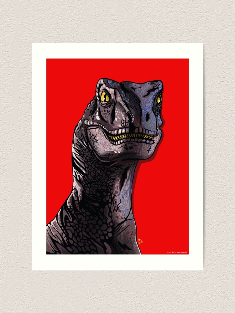 Drawings To Paint & Colour Dinosaur - Print Design 024