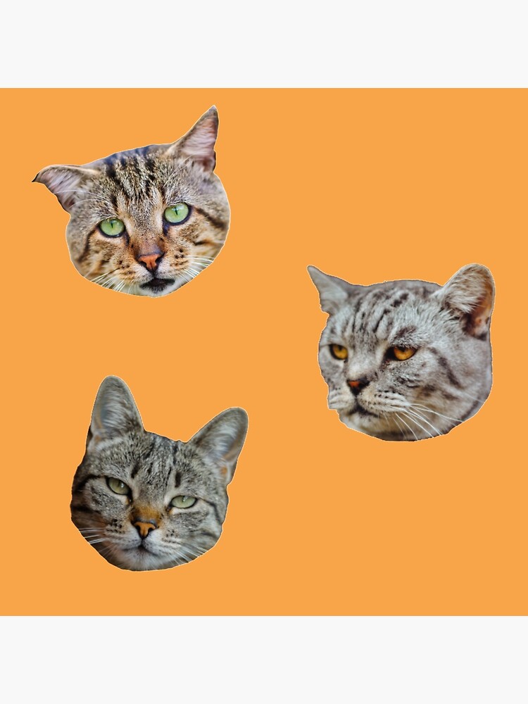 Emoji Pouting Cat | 3D model