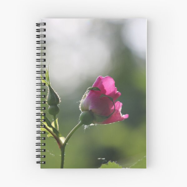 Item preview, Rose on a branch designed and sold by LaliCreations.