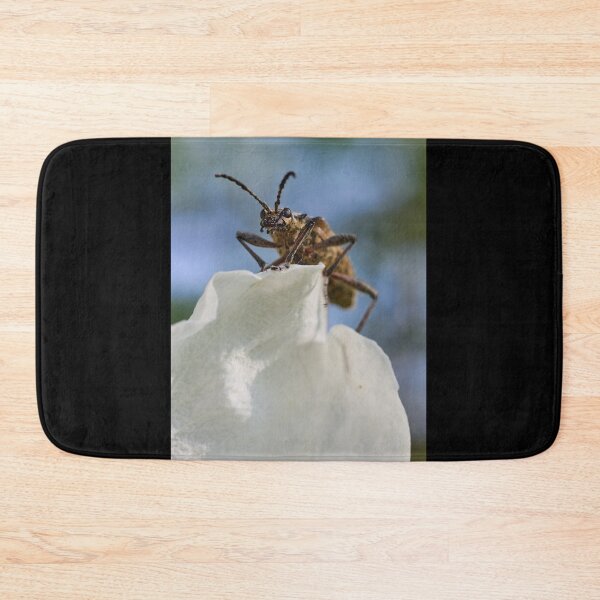 Item preview, Ribbed pine borer designed and sold by Jouko Lehto Photography.