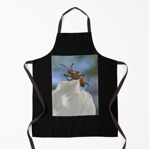 Item preview, Ribbed pine borer designed and sold by Jouko Lehto Photography.
