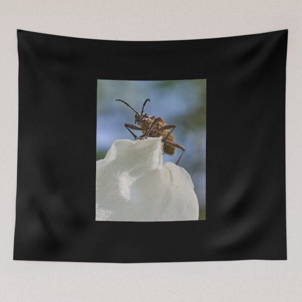 Item preview, Ribbed pine borer designed and sold by Jouko Lehto Photography.