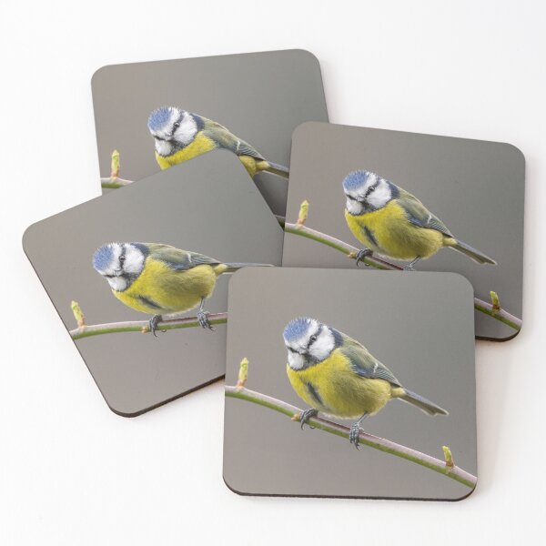 Item preview, Blue Tit designed and sold by Steve Liptrot Photography.