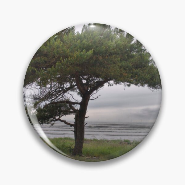 Item preview, The Pine and the sea designed and sold by Jouko Lehto Photography.