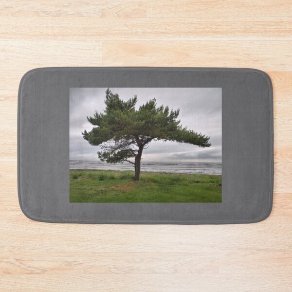 Item preview, The Pine and the sea designed and sold by Jouko Lehto Photography.