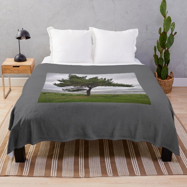 Item preview, The Pine and the sea designed and sold by Jouko Lehto Photography.