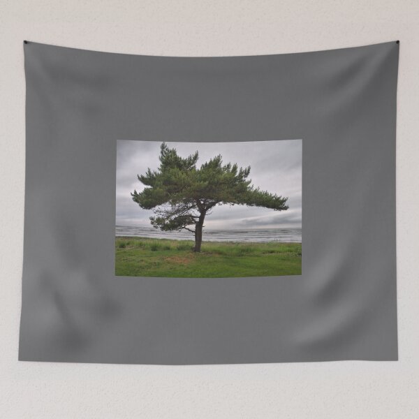 Item preview, The Pine and the sea designed and sold by Jouko Lehto Photography.