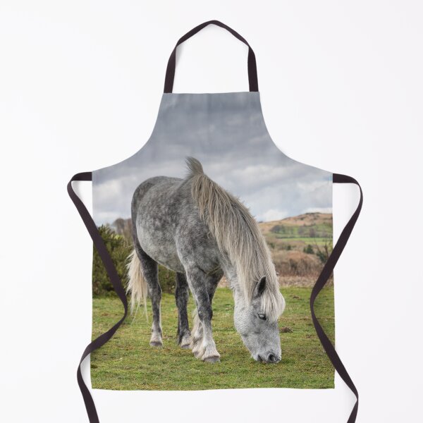 Artikelvorschau, Dartmoor Pony entworfen und verkauft von Steve Liptrot Photography.