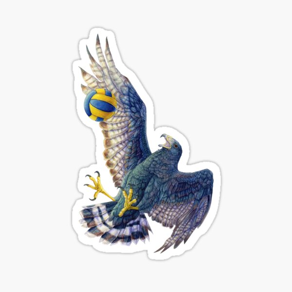 Item preview, Volleyball Hawk #14 - Zone-Tailed Hawk  designed and sold by R.A.  Faller.