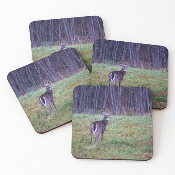 Item preview, White-tailed deer designed and sold by Jouko Lehto Photography.
