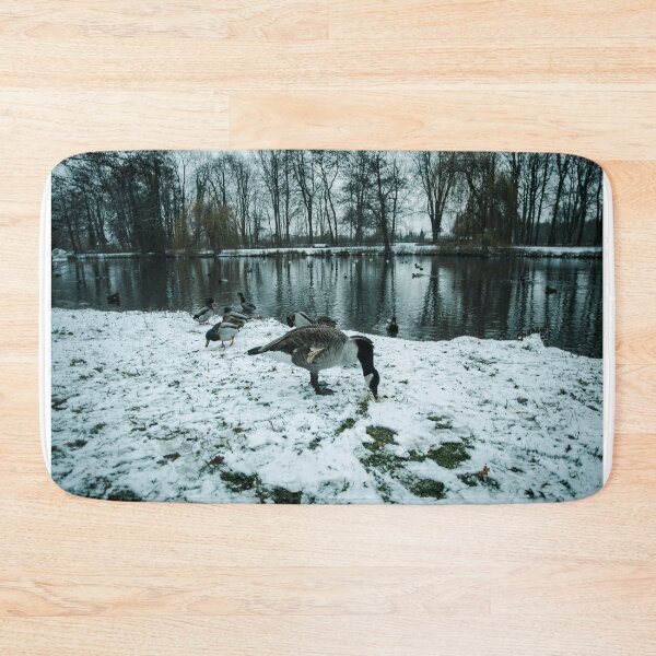 Item preview, Canada goose in winter designed and sold by Markus Holsträter.