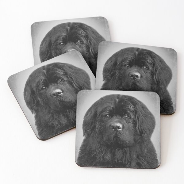 Item preview, Newfoundland dog - BW Vintage - D48 designed and sold by DecoVintage.