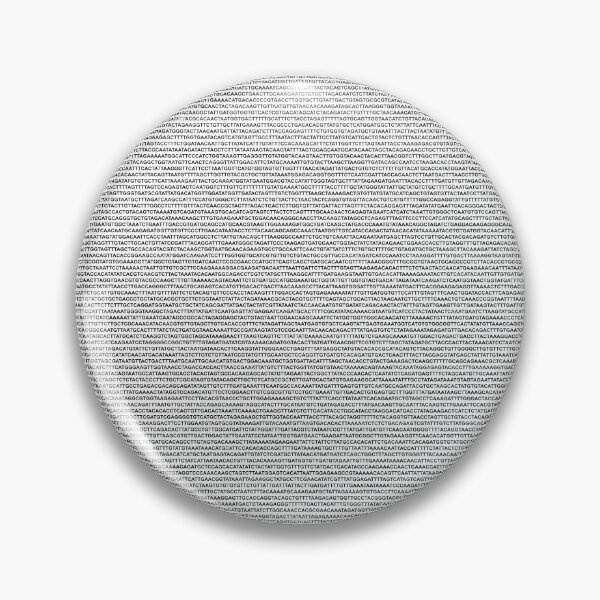 Item preview, Sars-CoV-2 COVID-19 Virus Full Genomic Sequence designed and sold by Groenendijk.