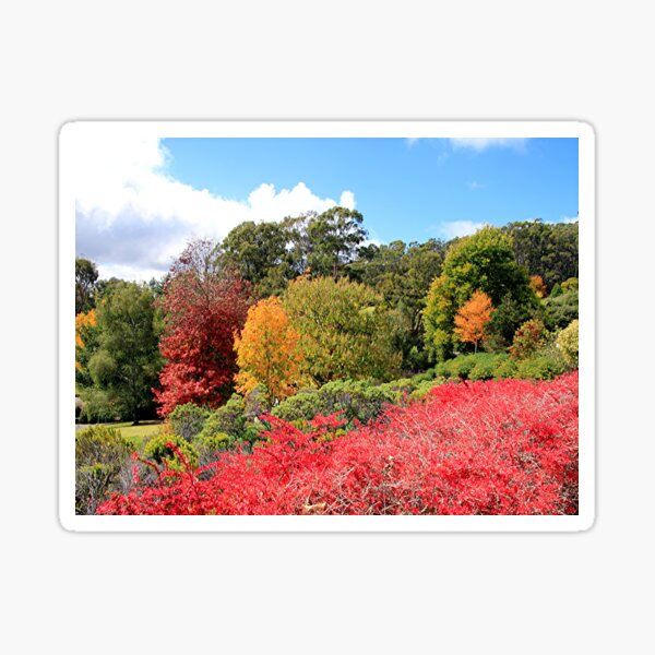 Item preview, Autumn splendour, Adelaide Hills, South Australia designed and sold by FranWest.