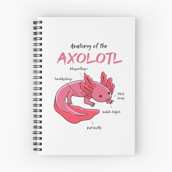 Item preview, Axolotl anatomy designed and sold by ElBeDesigns.