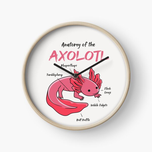 Anatomy Axolotl Clocks Redbubble