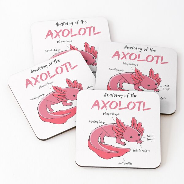 Item preview, Axolotl anatomy designed and sold by ElBeDesigns.