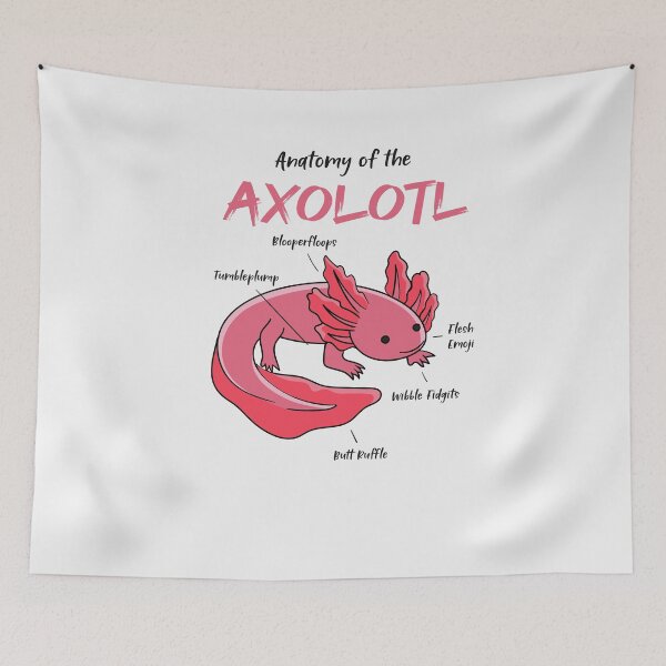 Item preview, Axolotl anatomy designed and sold by ElBeDesigns.
