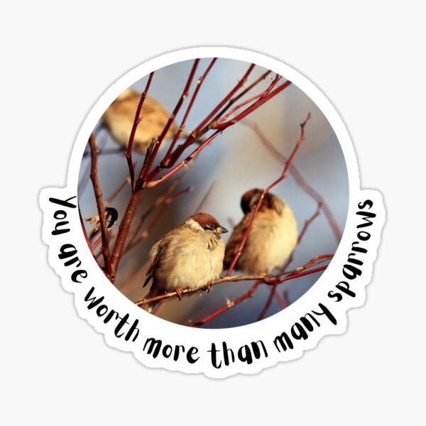 Item preview, You are worth more than many sparrows designed and sold by fsultesart.